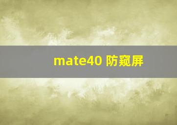 mate40 防窥屏